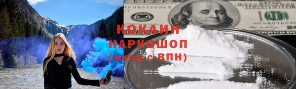 шишки Арсеньев