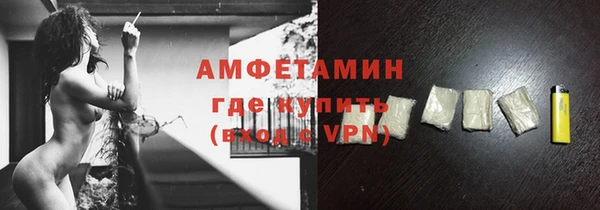шишки Арсеньев