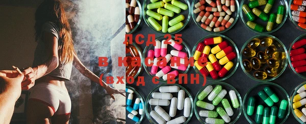 ПСИЛОЦИБИНОВЫЕ ГРИБЫ Аркадак