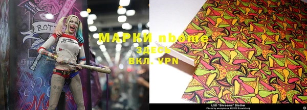 шишки Арсеньев