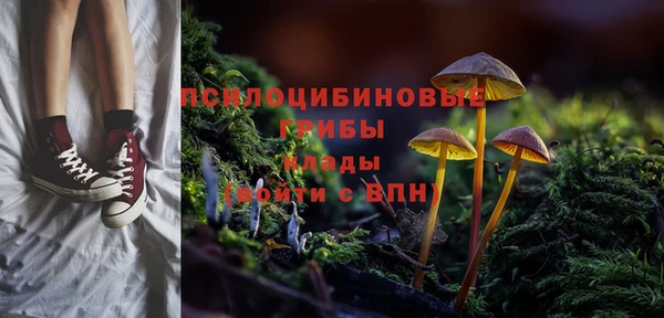 молекула духа Армянск