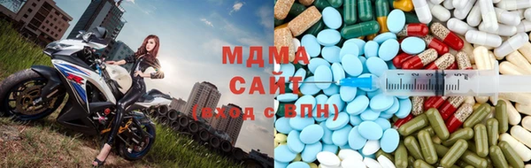 шишки Арсеньев