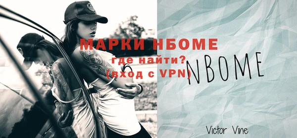 шишки Арсеньев