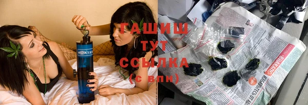 шишки Арсеньев