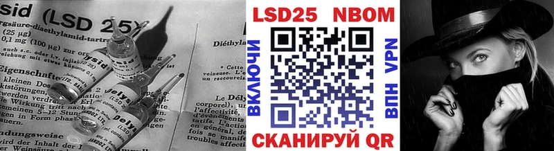darknet как зайти  Шуя  ЛСД экстази ecstasy 