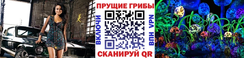 гидра ССЫЛКА  Шуя  Псилоцибиновые грибы мухоморы  как найти наркотики 
